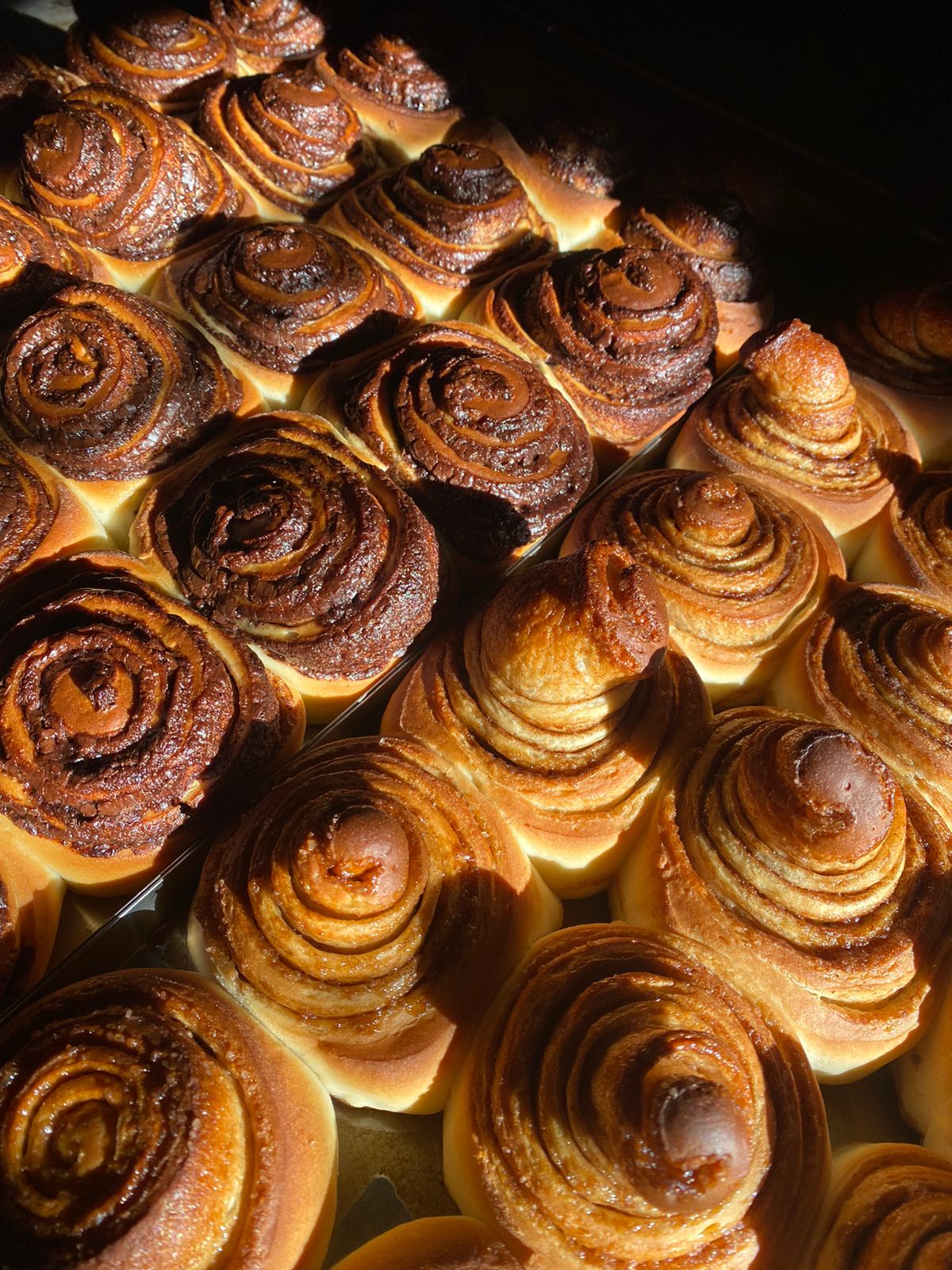 Rolls baking in the tray