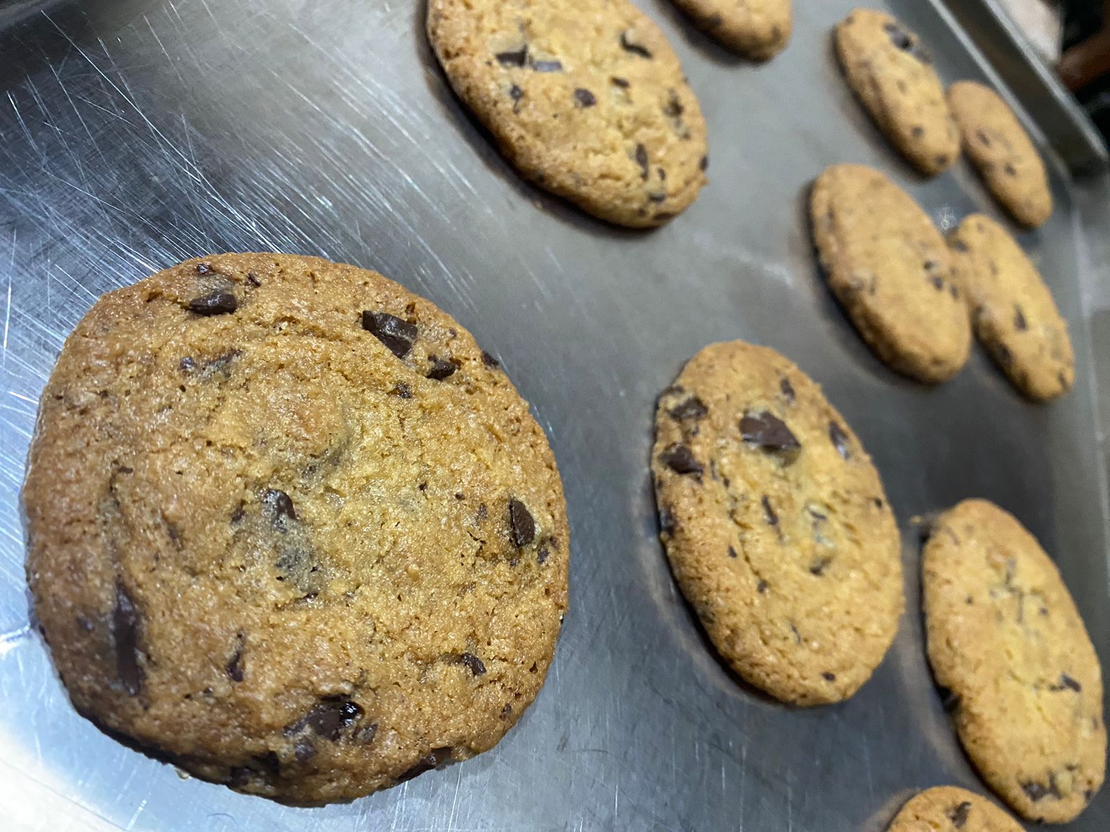 Chocolate chip cookie close up